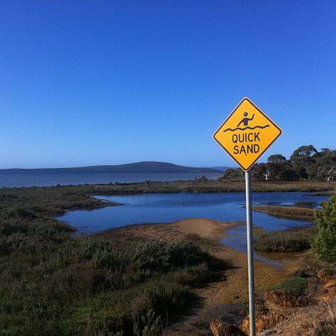 preview of 'Quicksand Danger: Myth or Reality?' Activity